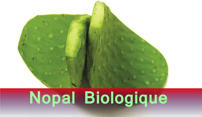 nopal biologique nutrition