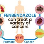 fenbendazole pour humains anticancer
