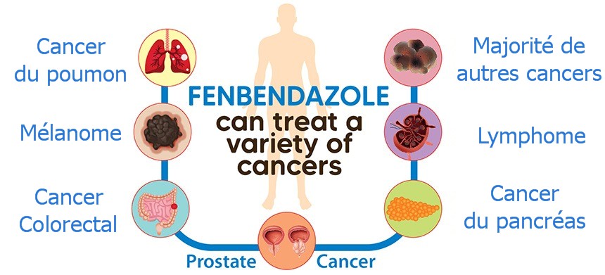 fenbendazole pour humains anticancer