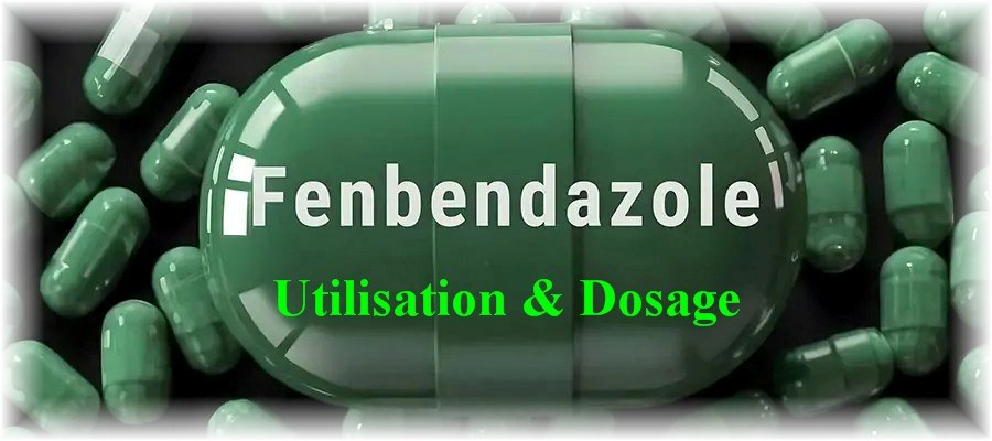 fenbendazole dosage et utilisation