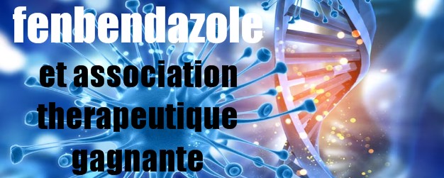 fenbendazole association therapeuitique gagnante