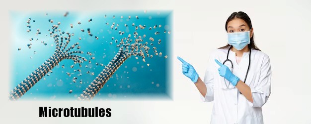 microtubules apoptose fenbendazole