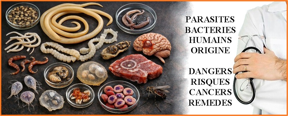 PARASITES HUMAINS ORIGINES DANGER REMEDES