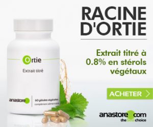 Racine de L’ortie (Urtica dioica L.)