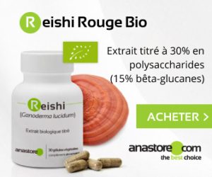 Le Reishi Rouge Bio un renfort immunitaire puissant