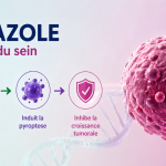 fenbendazole et cancer du sein