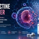 ivermectine cancer et apoptose