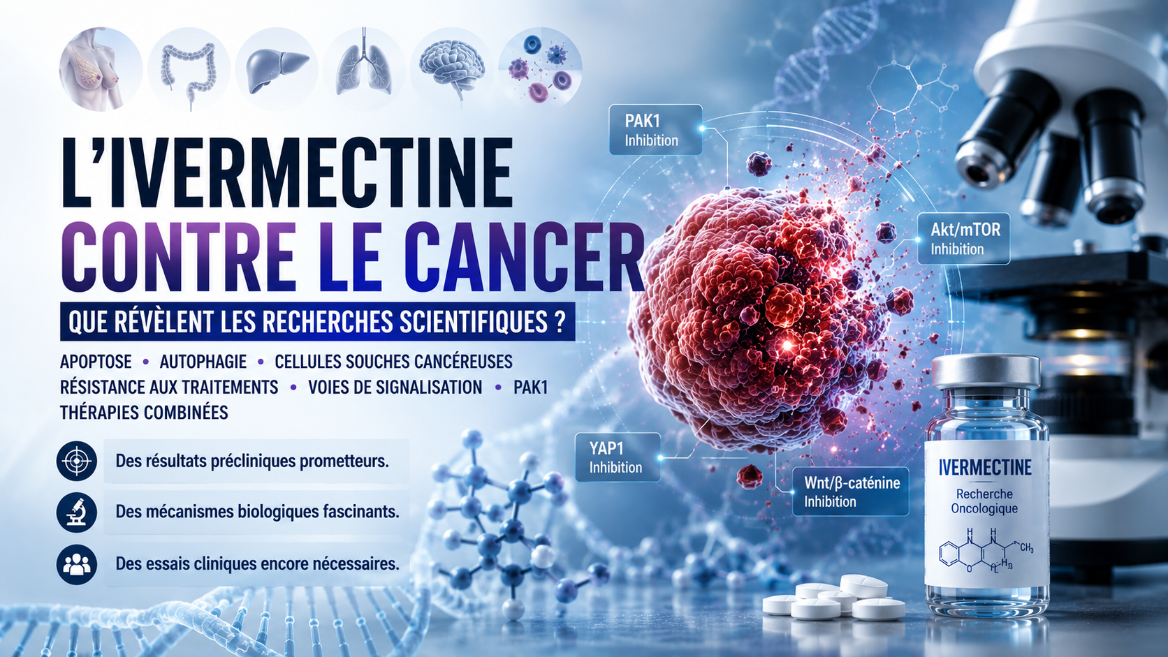 ivermectine contre le cancer