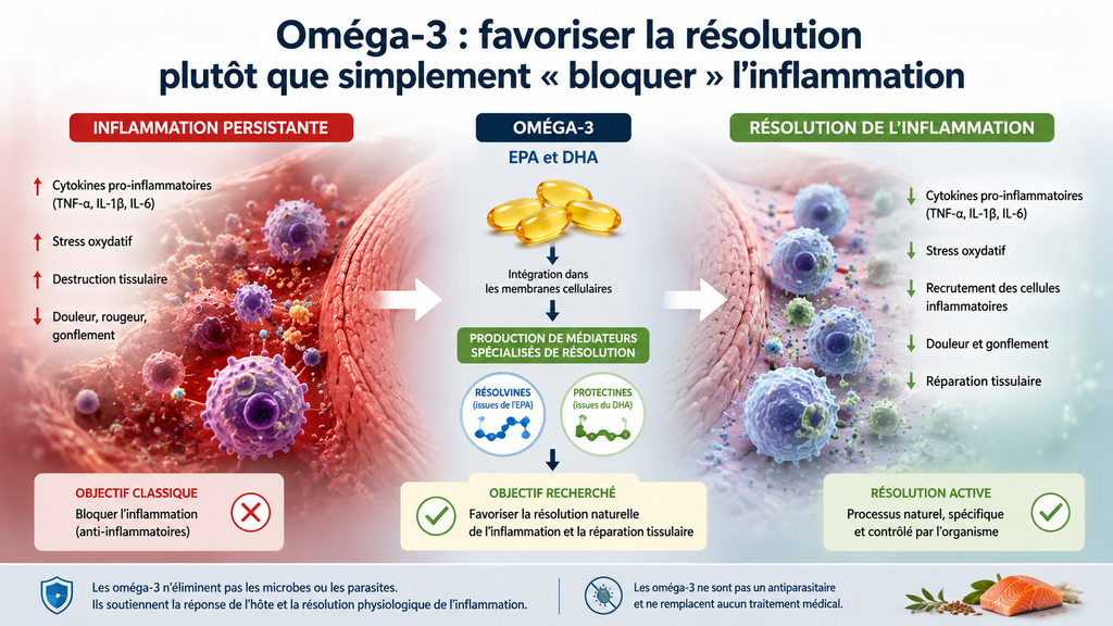 omega 3 contre inflammation gingivale
